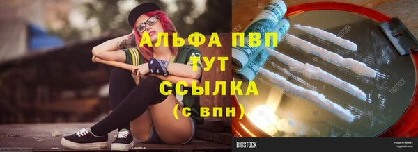 прущие грибы Покачи