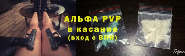 прущие грибы Покачи