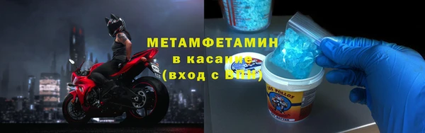 прущие грибы Покачи