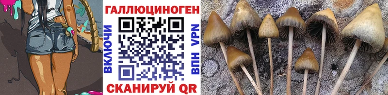 Галлюциногенные грибы MAGIC MUSHROOMS  Абдулино 